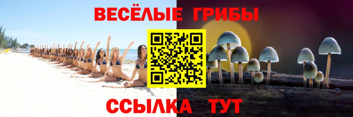 Галлюциногенные грибы MAGIC MUSHROOMS  Псилоцибиновые грибы Psilocybine cubensis  Вход с VPN  Азов 